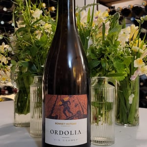 Ordolia - Domaine Bonnet-Huteau - jean-jacques-bonnet-vincent-pineau