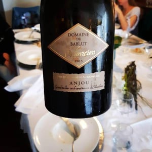 Ordovicien - Domaine de Bablut - Christophe & Antoine Daviau 