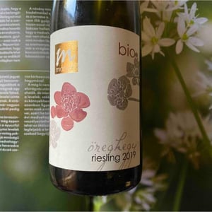 Öreghegy riesling - Mátyás családi pinceszet - matyas-andras -2019