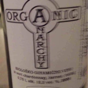 Organic Anarchy - Aci Urbajs - Organic Anarchy (white)