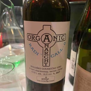 Organic Anarchy - Aci Urbajs - Organic Anarchy (white)