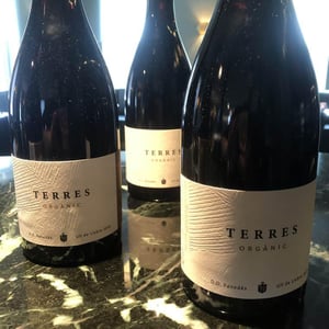 Terres Organic - Terres Wine - josep-masachs -2019