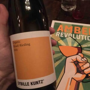 Organic Riesling 2019 - Sybille Kuntz Weingut - sybille-kunz