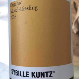 Organic Riesling 2019 - Sybille Kuntz Weingut - sybille-kunz