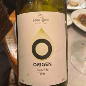 Origen - Nidea - Esteve i Gibert -2022
