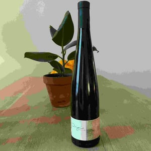 J.M. Dreyer - Jean-Marc Dreyer - Origin Riesling Macération