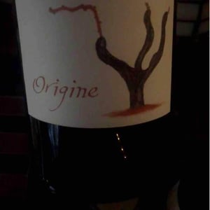 Domaine Passe Pont - David Landron - Origine