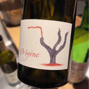 Origine - Domaine Passe Pont - David Landron 