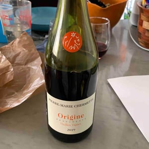 Origine - Domaine du Vissoux - pierre-marie-chermette