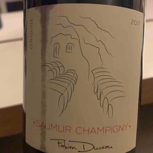 Origine Saumur Champigny - Domaine Fabien Duveau - fabien-duveau