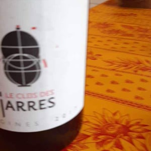 Origines - Le Clos Des Jarres - Vivien Hemelsdael 