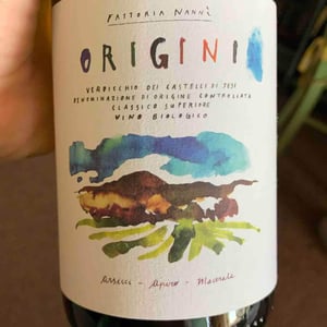 Origini - Fattoria Nannì - renato-cantori