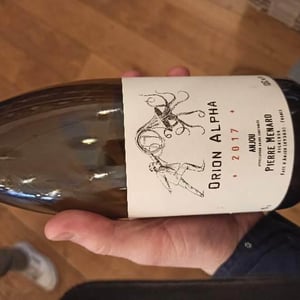 Orion Alpha - Domaine Pierre Ménard - Pierre Ménard 