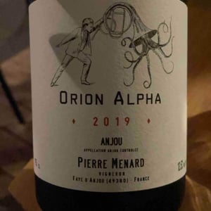 Orion Alpha - Domaine Pierre Ménard - Pierre Ménard 