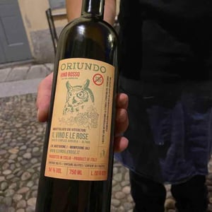 Oriundo - Il Vino e le Rose - Massimiliano Murgo 