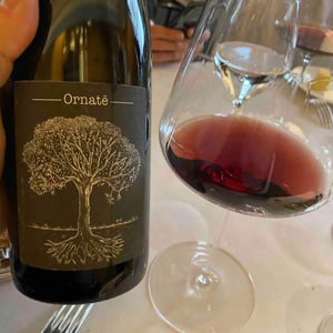 Domaine de Bellevue - Jérôme Bretaudeau - Ornaté