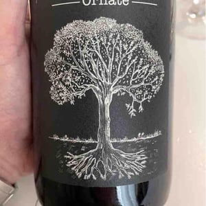Domaine de Bellevue - Jérôme Bretaudeau - Ornaté