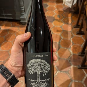 Ornaté - Domaine de Bellevue - Jérôme Bretaudeau 