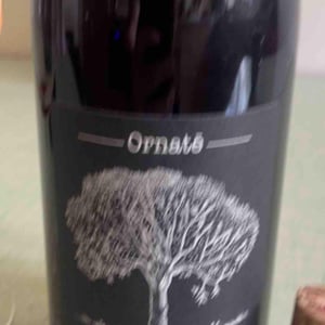 Ornaté - Domaine de Bellevue - Jérôme Bretaudeau 