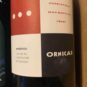 Ornicar - Jean-Baptiste Senat - Charlotte & Jean-Baptiste Senat 