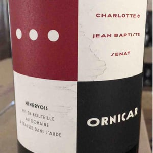 Ornicar - Jean-Baptiste Senat - charlotte-jean-baptiste-senat