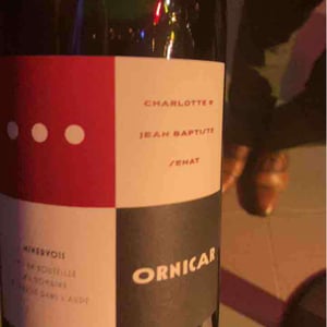 Ornicar - Jean-Baptiste Senat - Charlotte & Jean-Baptiste Senat 