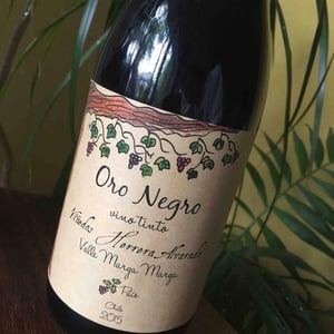 Oro Negro - Viñedos Herrera Alvarado - carolina-alvarado-arturo-herrera