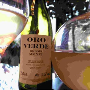 Oro Verde - Domaine Le Clocher - Les Vins de Sainte Anne - Brendan & Sean Tracey 