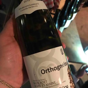 Orthogneiss 2015