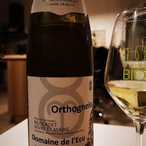 Orthogneiss 2018