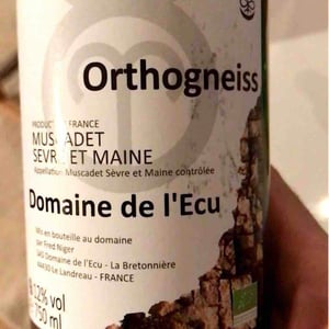 Domaine de L'Ecu - Claire & Fred NIGER - Orthogneiss