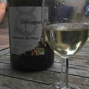 Domaine de L'Ecu - Claire & Fred NIGER - Orthogneiss