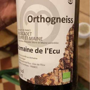 Orthogneiss 2018