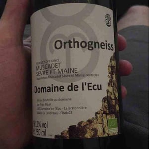 Orthogneiss