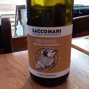 Ortrugo - Azienda Vitivinicola Saccomani - Saccomani Giuseppe, Luca e Claudia 