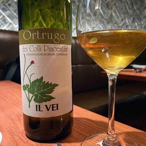 Azienda Vitivinicola Saccomani - Saccomani Giuseppe, Luca e Claudia - Ortrugo