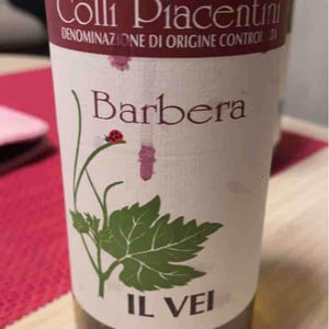 Azienda Vitivinicola Saccomani - Saccomani Giuseppe, Luca e Claudia - Ortrugo