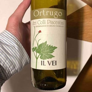 Ortrugo - Azienda Vitivinicola Saccomani - Saccomani Giuseppe, Luca e Claudia 