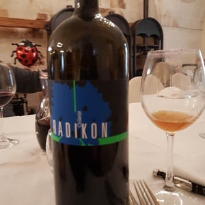 Radikon - Famiglia Radikon - Oslavje "fuori dal tempo..."
