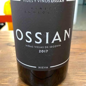 Ossian - Ossian Vides y Vinos - Familia Ruiz Aragoneses 