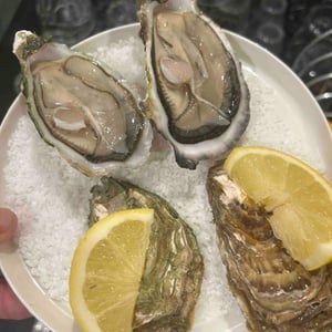 Ostriche - Sckiribar - 803499