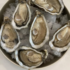 Ostriche - Condividere Osteria - 618433