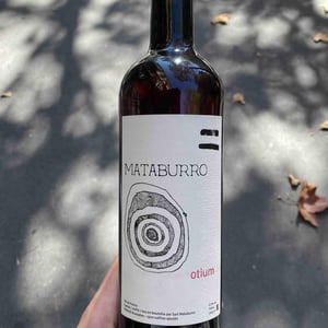 Otium - Mataburro - laurent-roger-melissa-ingrand