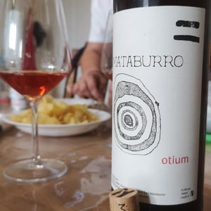 Mataburro - Laurent Roger & Melissa Ingrand - Otium