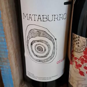 Otium - Mataburro - laurent-roger-melissa-ingrand