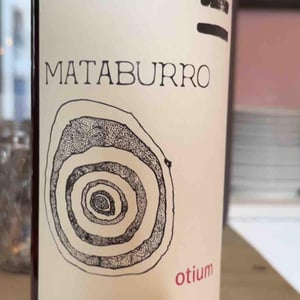 Otium - Mataburro - laurent-roger-melissa-ingrand