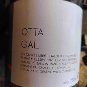 Otta Gal - Pet Nat - Domaine du Chambet - Anthony Fonjallaz -2021