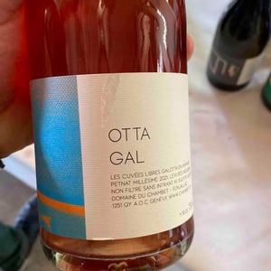 Otta Gal - Pet Nat - Domaine du Chambet - Anthony Fonjallaz -2021