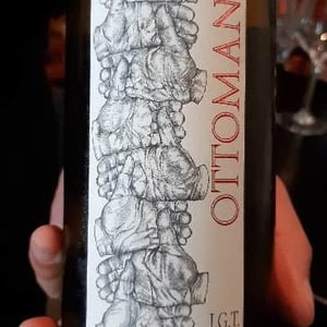 Ottomani Bianco 2017 - Azienda Agricola Ottomani - Enrico Giovannini, Leonardo Bonelli, Cosimo Pecorini, Andre Malavolti, Alessandro Bombassei