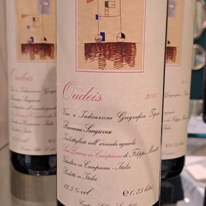 Oudeis - Vigne di San Lorenzo - filippo-manetti -2015